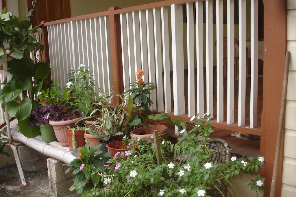 פורט אנטוניו Finjam Cottage מראה חיצוני תמונה
